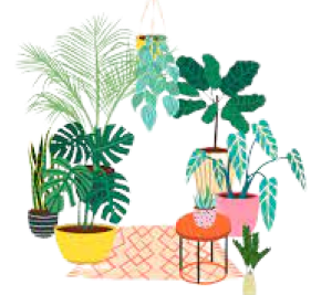 Plants