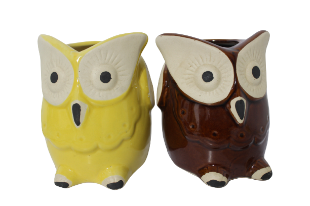 Owl With Ears